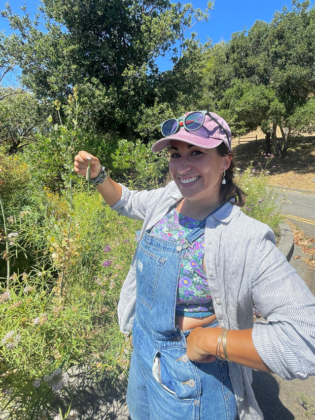 Pacheco Valle Traffic Island - Monarch Butterfly Bioblitz - Woman with cocoon